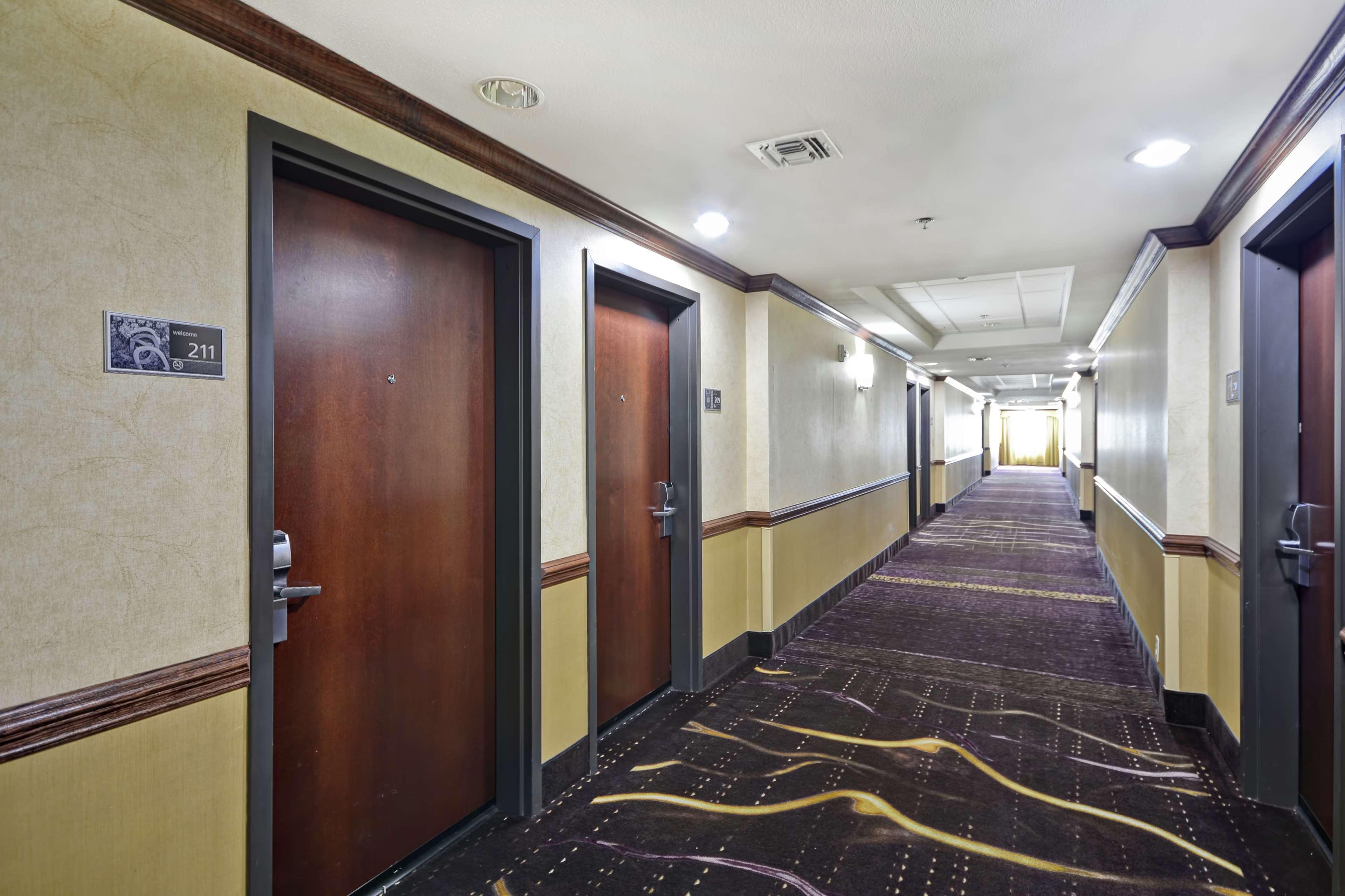 Hampton Inn & Suites Corpus Christi I-37 - Navigation Boulevard Dış mekan fotoğraf